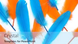 Presentation with orange colored - Beautiful PPT theme featuring colored-goose-feathers-blue backdrop and a light blue colored foreground