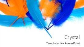  Presentation with orange colored - Amazing presentation theme having colored-goose-feathers-blue backdrop and a white colored foreground
