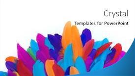  Presentation with bird - Beautiful theme featuring colored-goose-feathers-large-bird backdrop and a white colored foreground