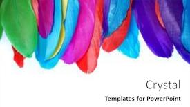  Presentation with merry christmas - PPT theme with colored-goose-feathers-large-bird background and a white colored foreground