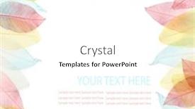  Presentation with frame border - Cool new presentation design with colored leaves border frame isolated on white background backdrop and a white colored foreground