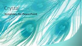  Presentation with peacock feather - Beautiful slides featuring colored-peacock-feathers-carnival-blue backdrop and a cyan colored foreground