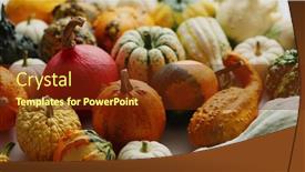  Presentation with colored - Presentation design enhanced with colored-pumpkins-in-different-varieties background and a tawny brown colored foreground