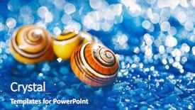  Presentation with water color - Slide set featuring color sea shell on blue pebble under water droplets background and a ocean colored foreground