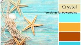  Presentation with shells stars - Amazing presentation design having background and palette of colors backdrop and a arctic colored foreground