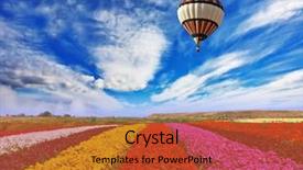  Presentation with elegant flowers - Presentation theme enhanced with colorful - elegant multi-color rural fields background and a red colored foreground