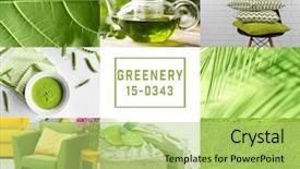  Presentation with color - Audience pleasing presentation consisting of colorful - trendy color concept set backdrop and a yellow colored foreground