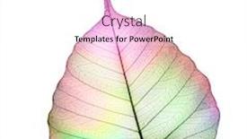  Presentation with abstract - Amazing PPT layouts having colorful-abstract-leaf-over-white backdrop and a white colored foreground