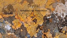  Presentation with lichen - Theme having colorful-and-abstract-lichen-formation background and a gold colored foreground