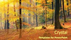  Presentation with foggy forest - Presentation with colorful and foggy autumn forest background and a red colored foreground