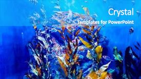  Presentation with fishes - PPT theme featuring colorful aquarium showing different colorful background and a cyan colored foreground