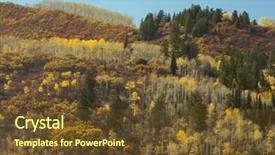  Presentation with deep blue - Beautiful theme featuring colorful aspen pines against deep blue sky backdrop and a tawny brown colored foreground