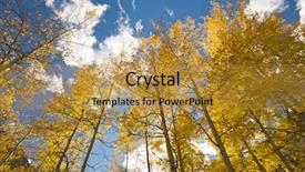  Presentation with deep blue - Audience pleasing PPT theme consisting of colorful aspen pines against deep backdrop and a  colored foreground
