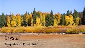  Presentation with apple trees are blooming pink - PPT theme enhanced with colorful aspen trees and pine background and a coral colored foreground
