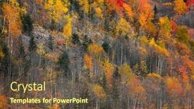  Presentation with fall foliage - Cool new PPT layouts with colorful aspen trees fall foliage backdrop and a tawny brown colored foreground
