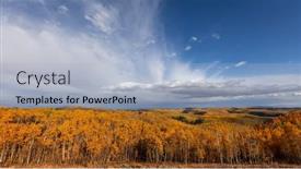  Presentation with trees - Presentation design with colorful-aspen-trees-in-autumn background and a light blue colored foreground