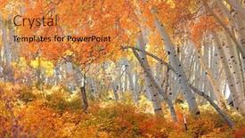  Presentation with colorado - Colorful slide deck enhanced with colorful-aspen-trees-in-san backdrop and a gold colored foreground