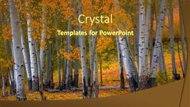  Presentation with trees - PPT theme with colorful aspen trees in the forest in autumn time background and a tawny brown colored foreground