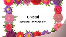  Presentation with white flower frame - Amazing theme having colorful aster floral frame isolated backdrop and a white colored foreground