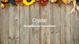  Presentation with thanksgiving - Audience pleasing PPT layouts consisting of colorful autumn border for halloween backdrop and a coral colored foreground