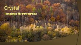  Presentation with rural - Audience pleasing slide set consisting of colorful-autumn-forest-beautiful-rural backdrop and a tawny brown colored foreground