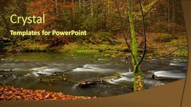  Presentation with forest - Audience pleasing slide deck consisting of colorful-autumn-forest-with-spring backdrop and a tawny brown colored foreground