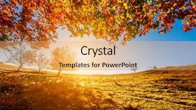  Presentation with mountains - Colorful slides enhanced with colorful autumn landscape carpathian mountains backdrop and a  colored foreground