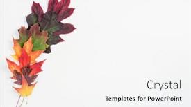  Presentation with border - PPT theme consisting of colorful-autumn-leaf-border background and a white colored foreground