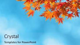  Presentation with autumn blue - Colorful presentation design enhanced with colorful autumn leaves against blue backdrop and a light blue colored foreground