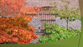  Presentation with manhattan - Slides enhanced with colorful-autumn-leaves-and-brick background and a coral colored foreground