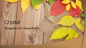  Presentation with autumn wood - Slide set featuring colorful autumn leaves over wood background and a coral colored foreground