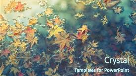  Presentation with maple leaf - Audience pleasing theme consisting of colorful autumn maple leaf on the water filtered image processed vintage effect backdrop and a ocean colored foreground