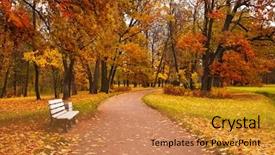 Presentation with maple leaves - Presentation theme having colorful autumn maple trees fallen leaves path bench in park background and a gold colored foreground