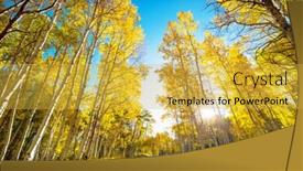  Presentation with forest road - Colorful PPT theme enhanced with colorful-autumn-scene-on-countryside backdrop and a yellow colored foreground