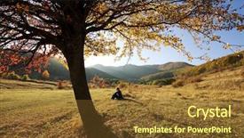  Presentation with contemplating - Slides having colorful autumn tree at sunset background and a tawny brown colored foreground