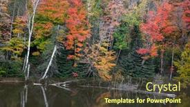  Presentation with trees - PPT theme enhanced with colorful-autumn-trees-along-dead background and a tawny brown colored foreground