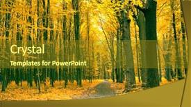  Presentation with woods - Beautiful theme featuring colorful autumn trees in forest backdrop and a tawny brown colored foreground