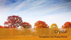  Presentation with fall season - PPT layouts featuring colorful autumn trees landscape fall background and a gold colored foreground