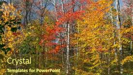  Presentation with rural - Slide deck featuring colorful-autumn-trees-under-overcast background and a tawny brown colored foreground