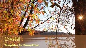  Presentation with flare - Amazing slides having colorful-autumn-trees backdrop and a tawny brown colored foreground