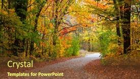  Presentation with biking - PPT layouts enhanced with colorful-autumn-trees background and a tawny brown colored foreground