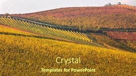  Presentation with vineyards - Presentation theme with colorful-autumn-vineyards background and a tawny brown colored foreground