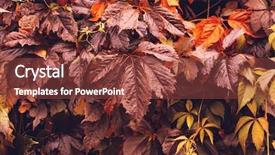  Presentation with orange plant - PPT layouts with colorful-autumn-virginia-creeper-wild background and a tawny brown colored foreground