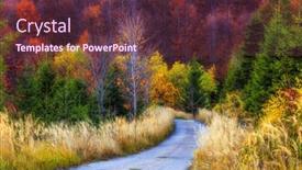  Presentation with tree sky trees green - Beautiful slides featuring colorful-autumnal-trees backdrop and a tawny brown colored foreground