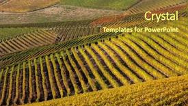  Presentation with vineyards - Slides having colorful autumnal vineyards in rows background and a tawny brown colored foreground