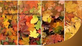  Presentation with autumn leaves - Slide set enhanced with colorful-background-of-fallen-autumn background and a gold colored foreground