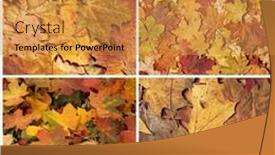 Presentation with autumn leaves - Theme featuring colorful-background-of-fallen-autumn background and a gold colored foreground