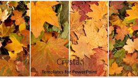  Presentation with autumn leaves - Slides enhanced with colorful-background-of-fallen-autumn background and a red colored foreground