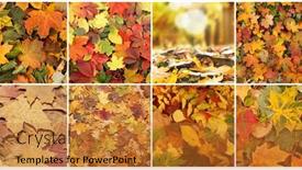  Presentation with autumn leaves - Presentation theme enhanced with colorful-background-of-fallen-autumn background and a gold colored foreground