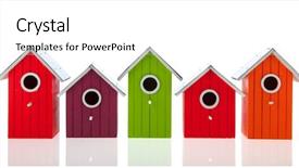 Presentation with white house - PPT layouts with colorful bird houses background and a white colored foreground